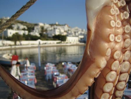 le poulpe... de mikonos!!!