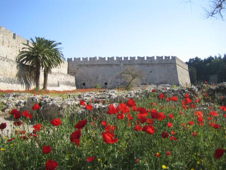 j'adooooore les coquelicots!!